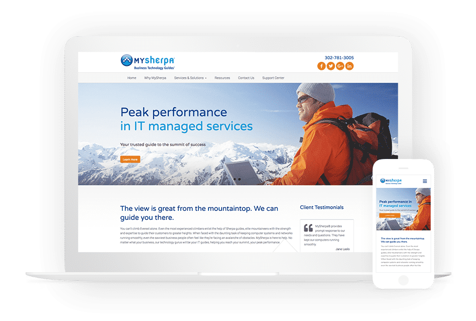 MSP Website showcase
