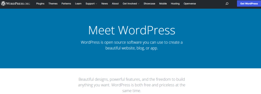 WordPress homepage