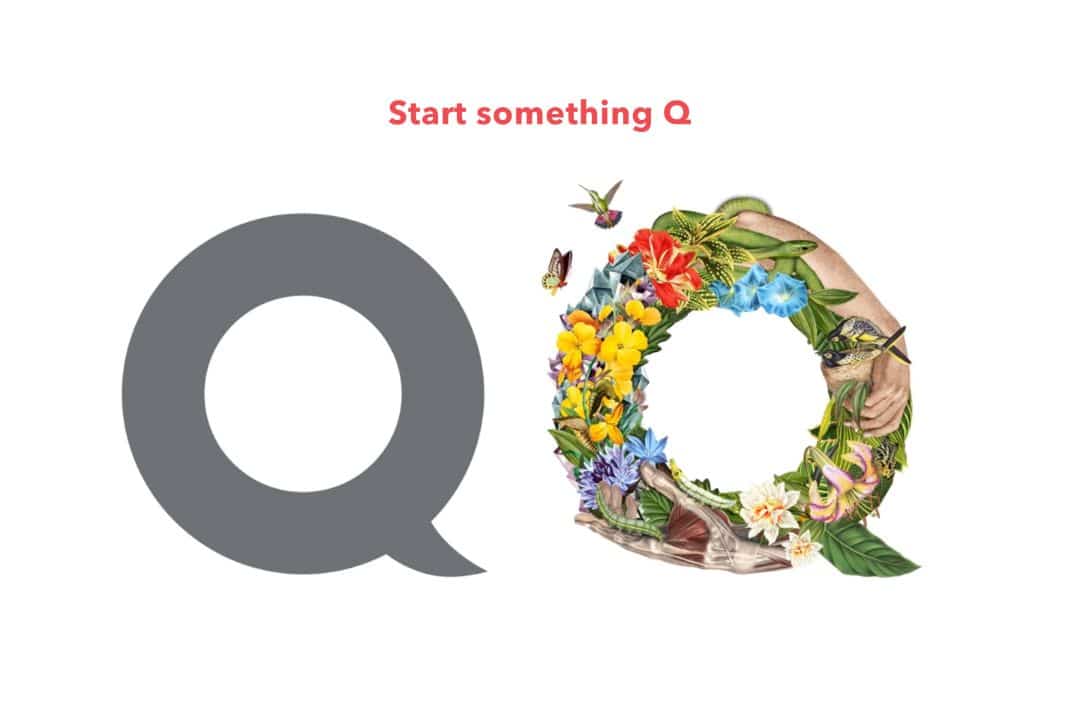 qooqoo showcase hover