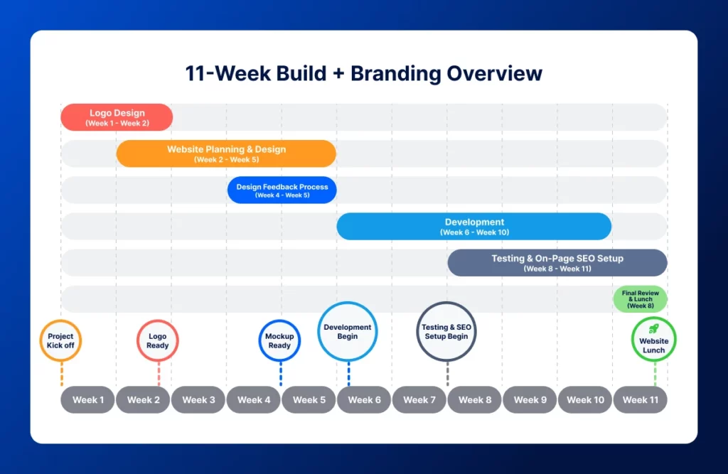 11 week website build and branding timeline overview